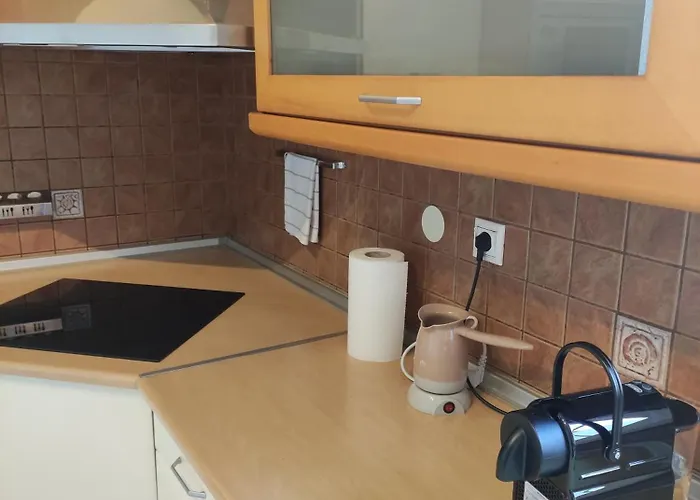 Terra Luxury Daire *